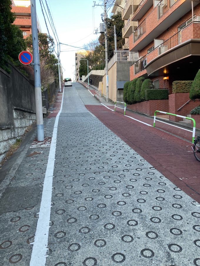 1月定期ラン行いました(江戸川橋・神田川周辺開催)