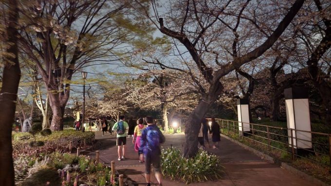 3月てけらん開催しました（平日夜＠皇居）(お花見しました)