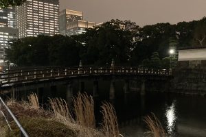 2月てけらん開催しました（平日夜＠皇居）