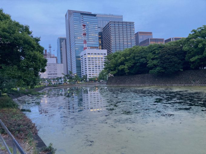 6月てけらん開催しました（平日夜＠皇居）