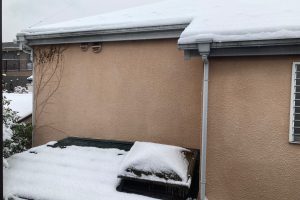 2月定期ランは自主練で、